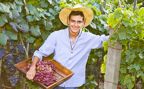 Seguro médico para trabajadores agrícolas con visa H-2A